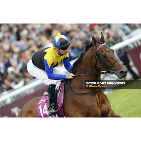 Qatar Prix de L\'Arc de Triomphe - CP Lemaire cantering on Makahiki Chantilly,2nd october 2016 ph.Stefano Grasso