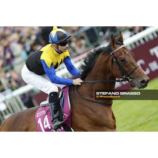 Qatar Prix de L\'Arc de Triomphe - CP Lemaire cantering on Makahiki Chantilly,2nd october 2016 ph.Stefano Grasso