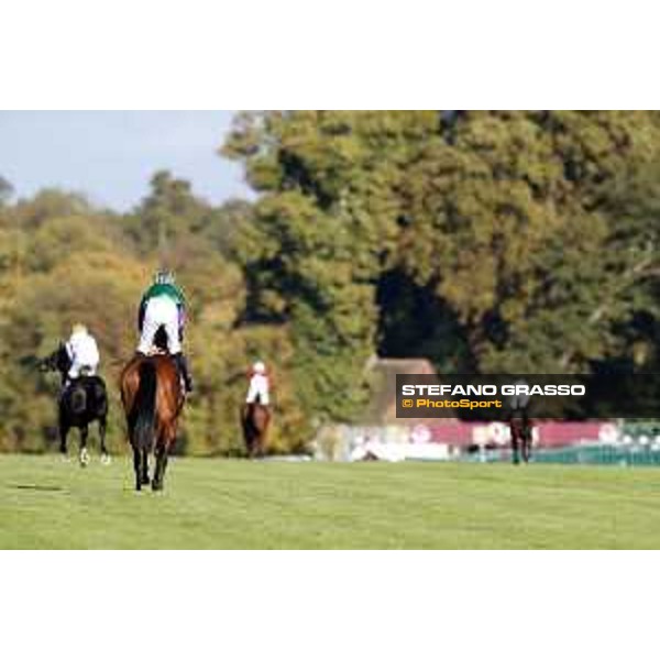 Qatar Prix de L\'Arc de Triomphe - going to the start of the Qatar Arabian World Cup Chantilly,2nd october 2016 ph.Stefano Grasso