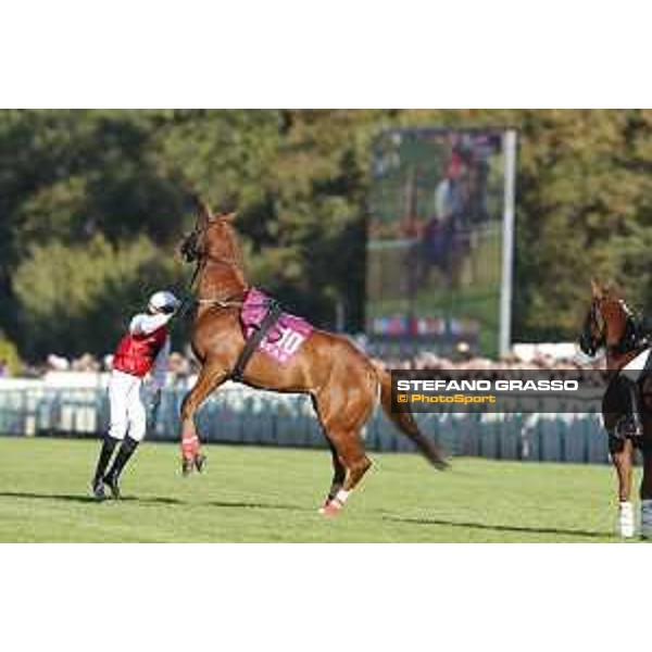 Qatar Prix de L\'Arc de Triomphe - Mehdaaf Athbah the Qatar Arabian World Cup Chantilly,2nd october 2016 ph.Stefano Grasso