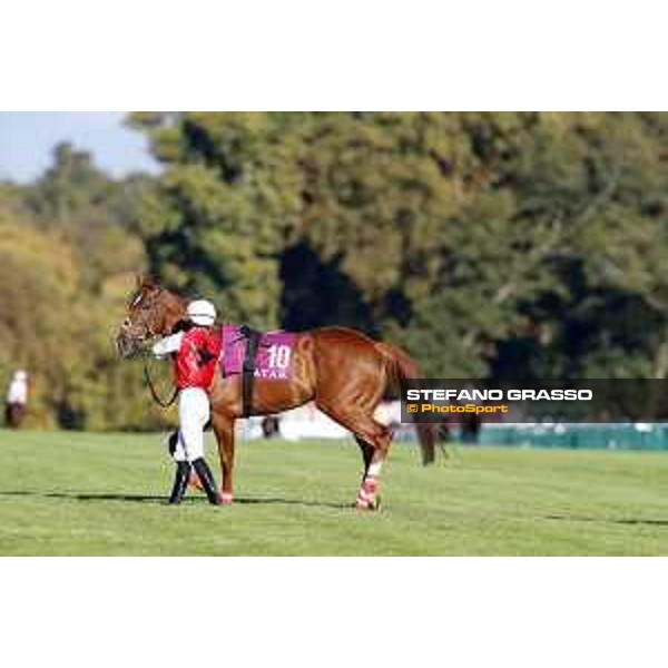 Qatar Prix de L\'Arc de Triomphe - Mehdaaf Athbah the Qatar Arabian World Cup Chantilly,2nd october 2016 ph.Stefano Grasso