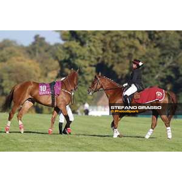 Qatar Prix de L\'Arc de Triomphe - Mehdaaf Athbah the Qatar Arabian World Cup Chantilly,2nd october 2016 ph.Stefano Grasso