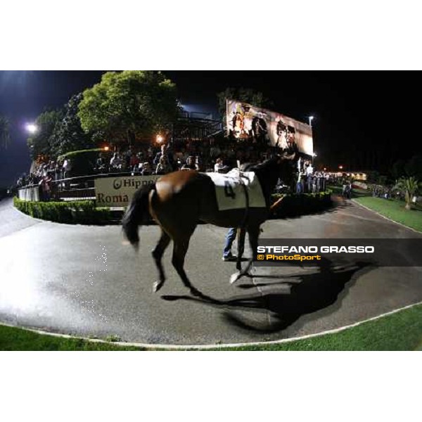 Roma - Capannelle racetrack - unveiling of the new lightning system- horse parade in the parade ring Rome, 9th sept. 2006 ph. Stefano Grasso