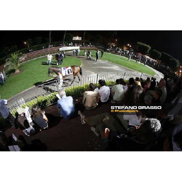 Roma - Capannelle racetrack - unveiling of the new lightning system- the parade ring Rome, 9th sept. 2006 ph. Stefano Grasso