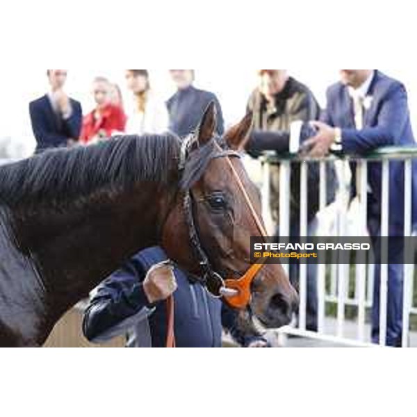 Ventura Storm wins the Gran Premio del Jockey Club Milan,San Siro galopp racecourse 16/10/2016 ph.Stefano Grasso