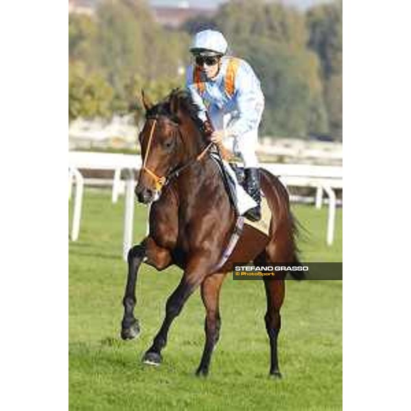 Christian Demuro on Ventura Storm wins the Gran Premio del Jockey Club Milan,San Siro galopp racecourse 16/10/2016 ph.Stefano Grasso