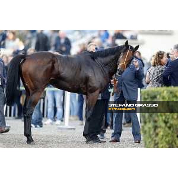 Ventura Storm wins the Gran Premio del Jockey Club Milan,San Siro galopp racecourse 16/10/2016 ph.Stefano Grasso