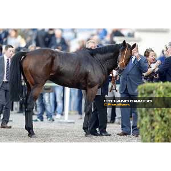 Ventura Storm wins the Gran Premio del Jockey Club Milan,San Siro galopp racecourse 16/10/2016 ph.Stefano Grasso