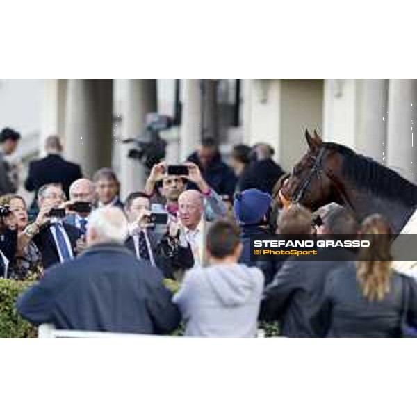 Ventura Storm wins the Gran Premio del Jockey Club Milan,San Siro galopp racecourse 16/10/2016 ph.Stefano Grasso