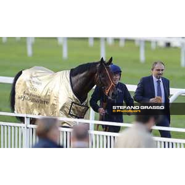 Ventura Storm wins the Gran Premio del Jockey Club Milan,San Siro galopp racecourse 16/10/2016 ph.Stefano Grasso