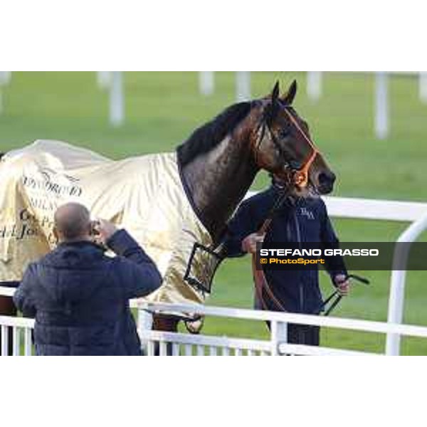 Ventura Storm wins the Gran Premio del Jockey Club Milan,San Siro galopp racecourse 16/10/2016 ph.Stefano Grasso