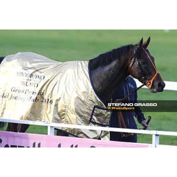Ventura Storm wins the Gran Premio del Jockey Club Milan,San Siro galopp racecourse 16/10/2016 ph.Stefano Grasso