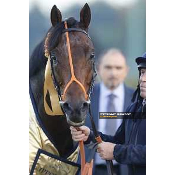 Ventura Storm wins the Gran Premio del Jockey Club Milan,San Siro galopp racecourse 16/10/2016 ph.Stefano Grasso