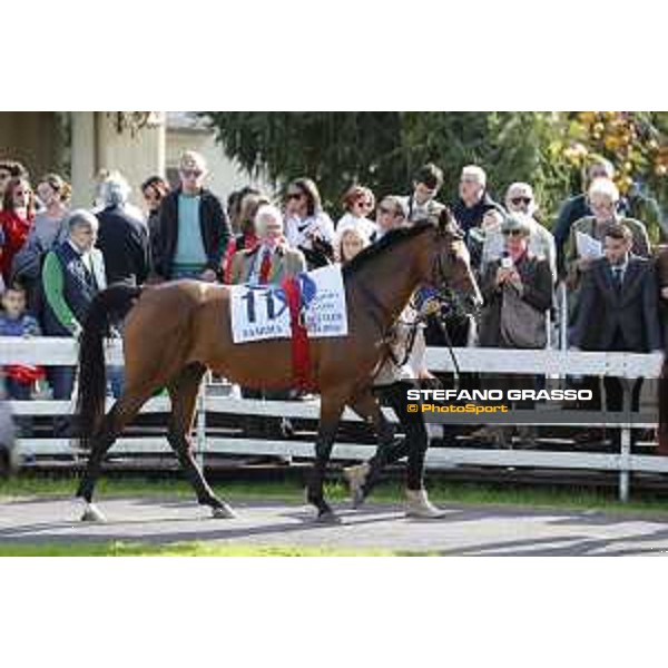 Christian Demuro on Samima wins the Premio Milano Jockey Club Stakes (PSA) trainer Karin Van den Bos Milano-San Siro racecourse,16/10/2016 ph.Stefano Grasso