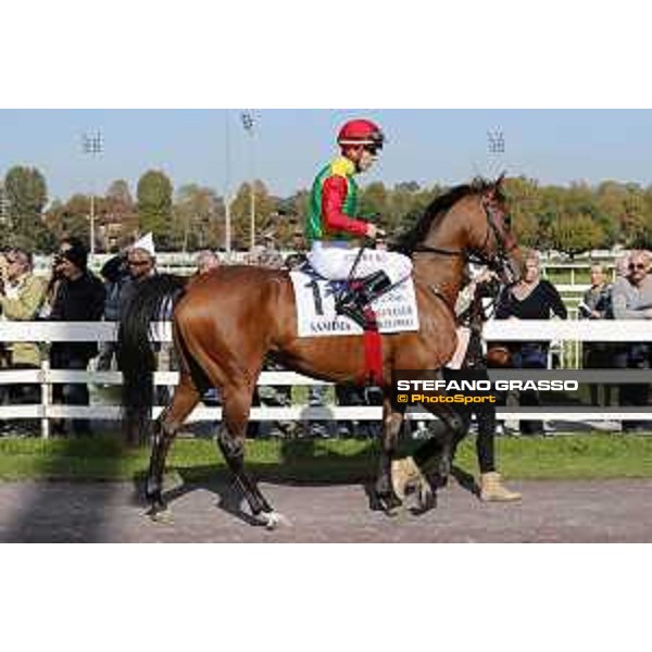 Christian Demuro on Samima wins the Premio Milano Jockey Club Stakes (PSA) trainer Karin Van den Bos Milano-San Siro racecourse,16/10/2016 ph.Stefano Grasso