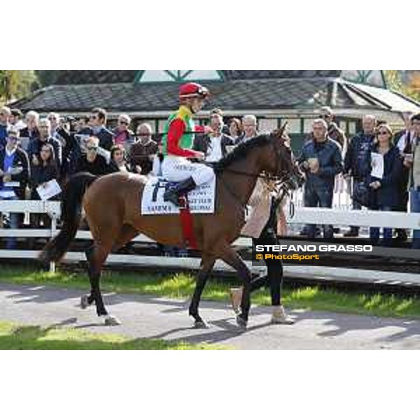 Christian Demuro on Samima wins the Premio Milano Jockey Club Stakes (PSA) trainer Karin Van den Bos Milano-San Siro racecourse,16/10/2016 ph.Stefano Grasso