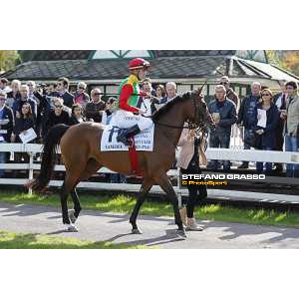 Christian Demuro on Samima wins the Premio Milano Jockey Club Stakes (PSA) trainer Karin Van den Bos Milano-San Siro racecourse,16/10/2016 ph.Stefano Grasso