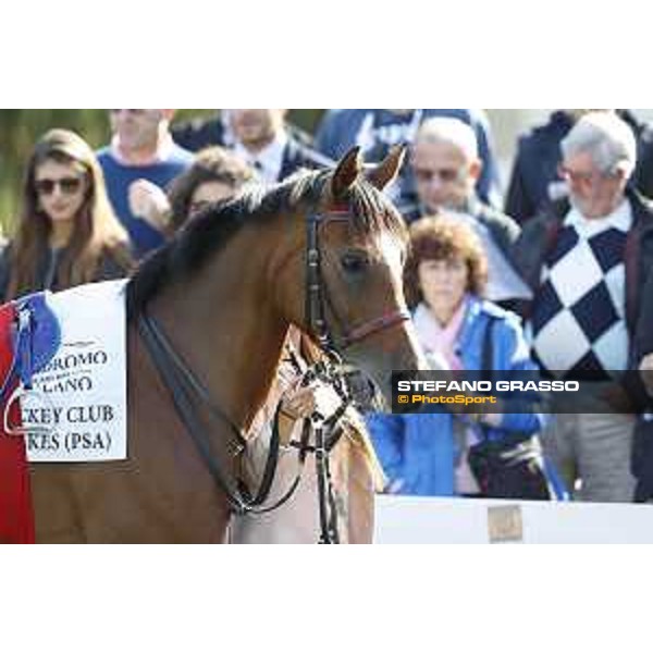 Christian Demuro on Samima wins the Premio Milano Jockey Club Stakes (PSA) trainer Karin Van den Bos Milano-San Siro racecourse,16/10/2016 ph.Stefano Grasso
