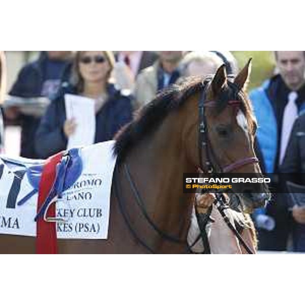 Christian Demuro on Samima wins the Premio Milano Jockey Club Stakes (PSA) trainer Karin Van den Bos Milano-San Siro racecourse,16/10/2016 ph.Stefano Grasso