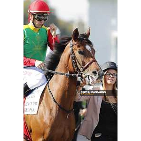 Christian Demuro on Samima wins the Premio Milano Jockey Club Stakes (PSA) trainer Karin Van den Bos Milano-San Siro racecourse,16/10/2016 ph.Stefano Grasso