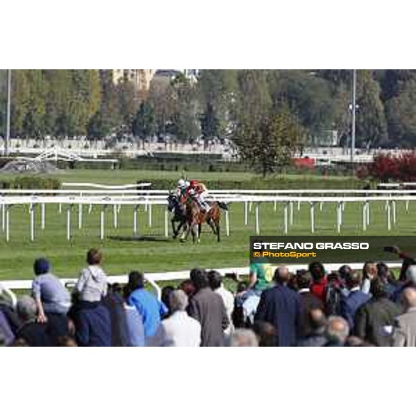 Christian Demuro on Samima wins the Premio Milano Jockey Club Stakes (PSA) trainer Karin Van den Bos Milano-San Siro racecourse,16/10/2016 ph.Stefano Grasso