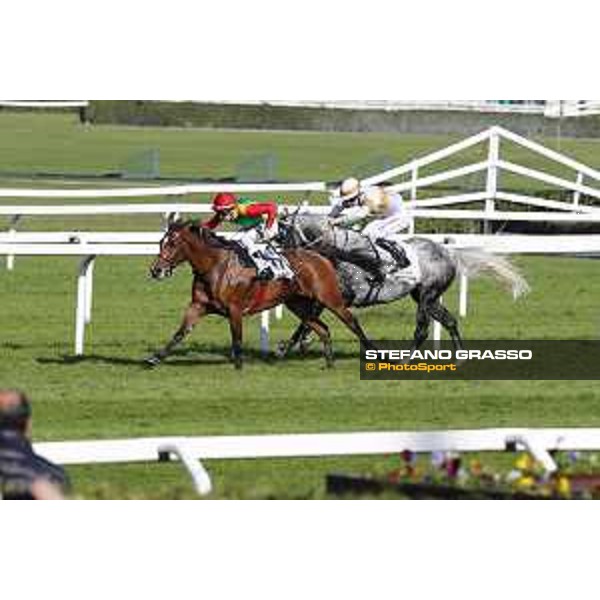 Christian Demuro on Samima wins the Premio Milano Jockey Club Stakes (PSA) trainer Karin Van den Bos Milano-San Siro racecourse,16/10/2016 ph.Stefano Grasso
