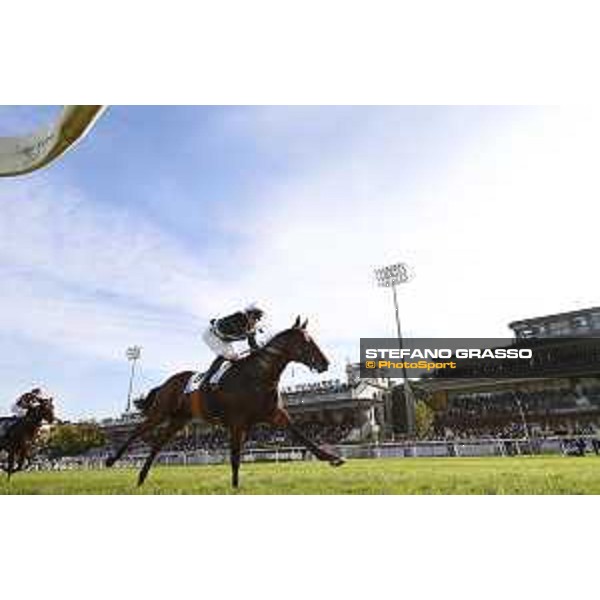 Micky Cadeddu on Skarino Gold wins the Gran Criterium Milano-San Siro racecourse,16/10/2016 ph.Stefano Grasso