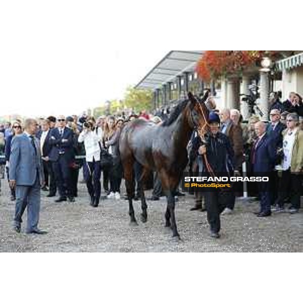 Ventura Storm after winning the Gran Premio del Jockey Club Milano - San Siro racecourse,16/10/2016 ph.Stefano Grasso