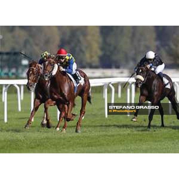 Christian Demuro on Voice of Love wins the Premio del Piazzale Milano - San Siro racecourse,16/10/2016 ph.Stefano Grasso
