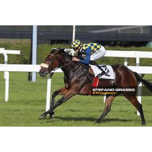 Fabio Branca on Reset in Blue wins the Premio Madonnina Milano - San Siro racecourse,16/10/2016 ph.Stefano Grasso