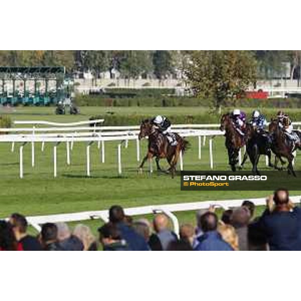 Miky Cadeddu on Skarino Gold wins the Gran Criterium Milano - San Siro racecourse,16/10/2016 ph.Stefano Grasso