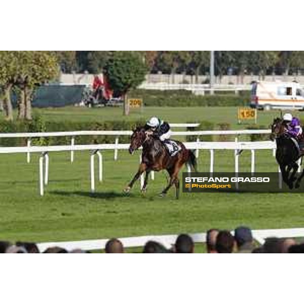 Miky Cadeddu on Skarino Gold wins the Gran Criterium Milano - San Siro racecourse,16/10/2016 ph.Stefano Grasso
