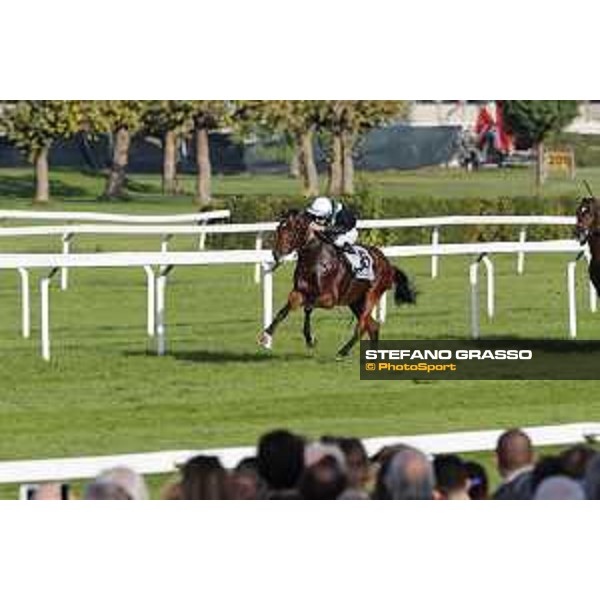 Miky Cadeddu on Skarino Gold wins the Gran Criterium Milano - San Siro racecourse,16/10/2016 ph.Stefano Grasso