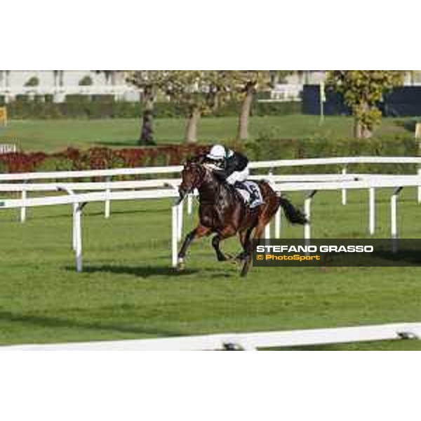 Miky Cadeddu on Skarino Gold wins the Gran Criterium Milano - San Siro racecourse,16/10/2016 ph.Stefano Grasso