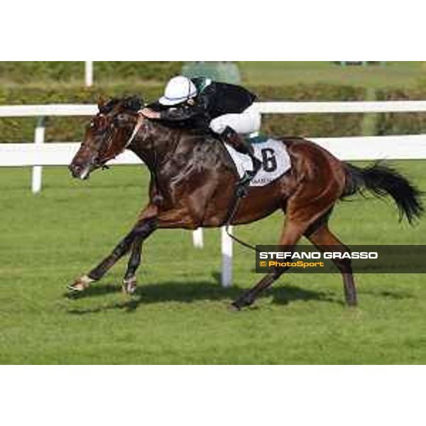 Miky Cadeddu on Skarino Gold wins the Gran Criterium Milano - San Siro racecourse,16/10/2016 ph.Stefano Grasso