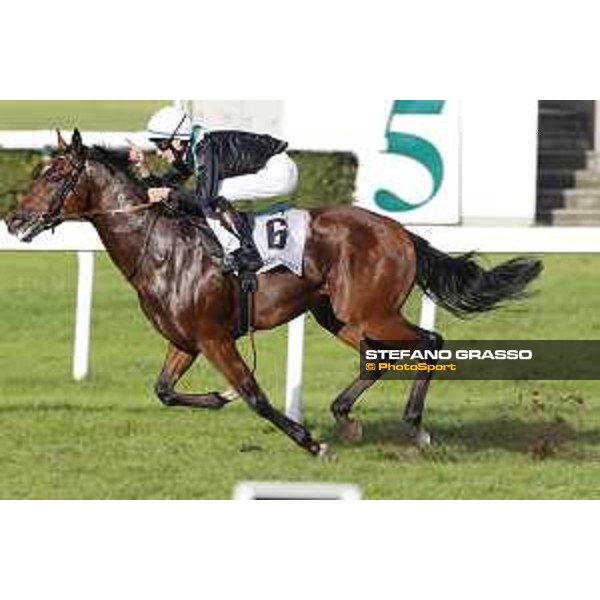 Miky Cadeddu on Skarino Gold wins the Gran Criterium Milano - San Siro racecourse,16/10/2016 ph.Stefano Grasso