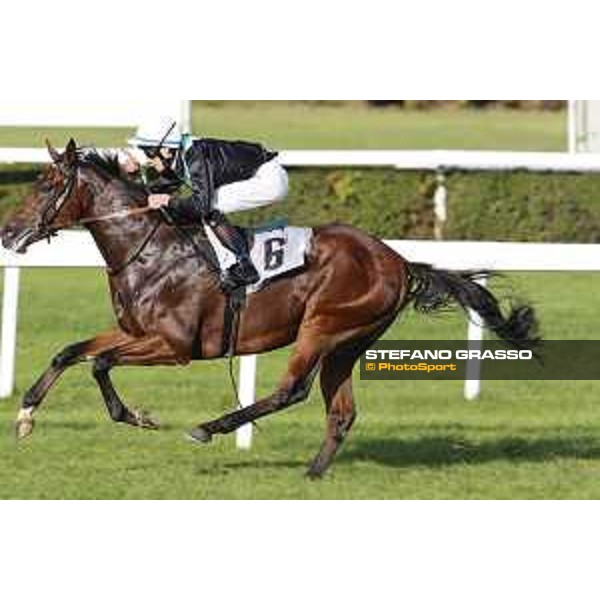 Miky Cadeddu on Skarino Gold wins the Gran Criterium Milano - San Siro racecourse,16/10/2016 ph.Stefano Grasso