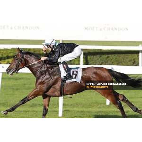 Miky Cadeddu on Skarino Gold wins the Gran Criterium Milano - San Siro racecourse,16/10/2016 ph.Stefano Grasso