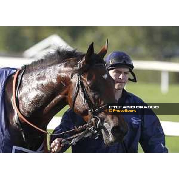 Skarino Gold wins the Gran Criterium Milano - San Siro racecourse,16/10/2016 ph.Stefano Grasso