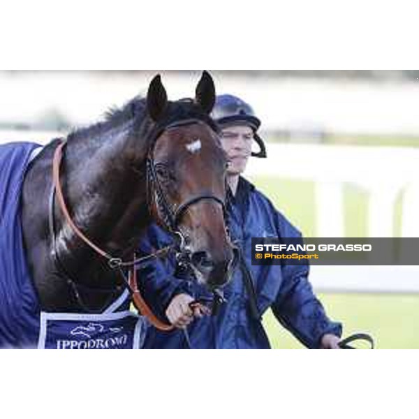 Skarino Gold wins the Gran Criterium Milano - San Siro racecourse,16/10/2016 ph.Stefano Grasso