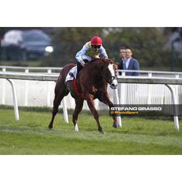 Fabio Branca on Intense Life wins the Premio Omenoni Milano - San Siro racecourse,16/10/2016 ph.Stefano Grasso