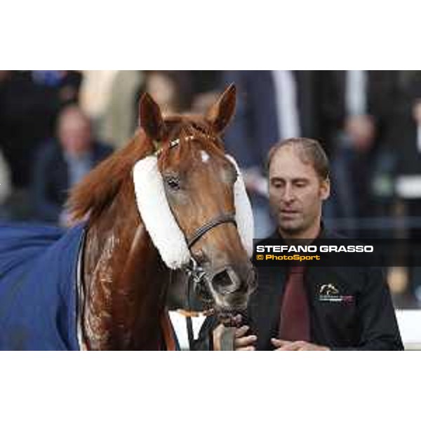 Sound of Freedom after winning the Premio Lydia Tesio Roma - Capannelle racecourse,23rd october 2016 ph.Stefano Grasso