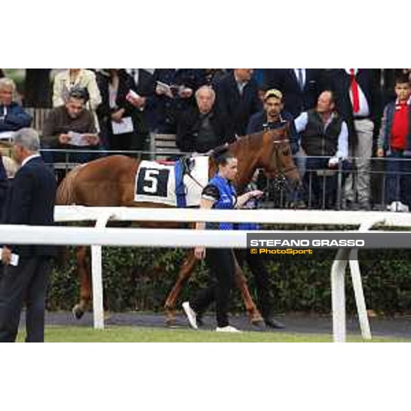 Pabouche - Godolphin Roma - Capannelle racecourse,23rd october 2016 ph.Stefano Grasso