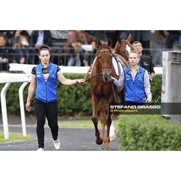 Pabouche - Godolphin Roma - Capannelle racecourse,23rd october 2016 ph.Stefano Grasso