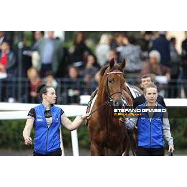 Pabouche - Godolphin Roma - Capannelle racecourse,23rd october 2016 ph.Stefano Grasso