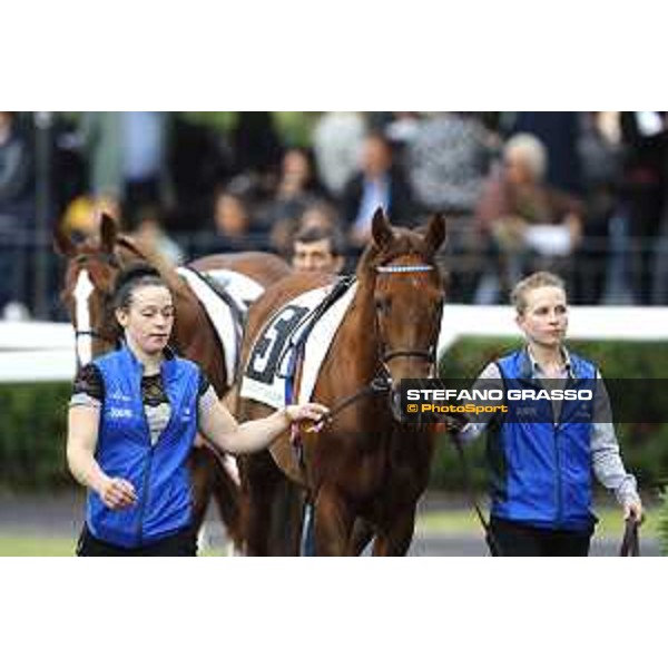 Pabouche - Godolphin Roma - Capannelle racecourse,23rd october 2016 ph.Stefano Grasso