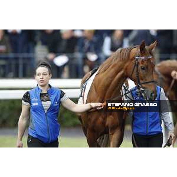 Pabouche - Godolphin Roma - Capannelle racecourse,23rd october 2016 ph.Stefano Grasso