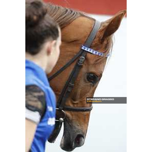 Pabouche - Godolphin Roma - Capannelle racecourse,23rd october 2016 ph.Stefano Grasso