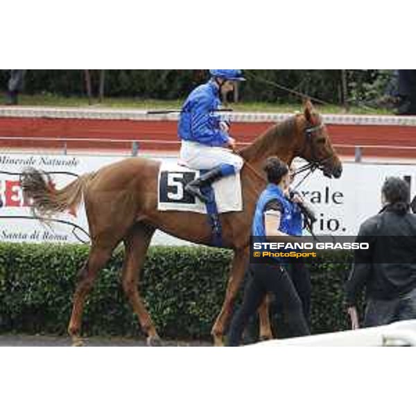 A.Lemaitre on Pabouche - Godolphin Roma - Capannelle racecourse,23rd october 2016 ph.Stefano Grasso