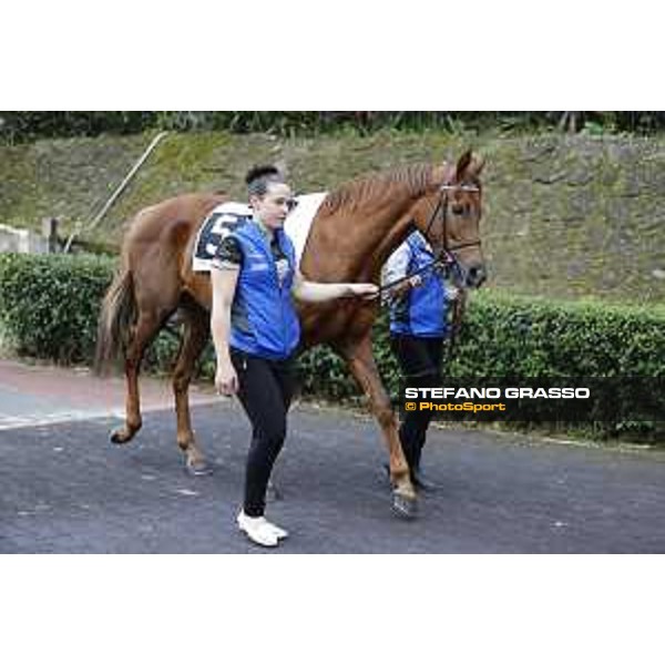 Pabouche - Godolphin Roma - Capannelle racecourse,23rd october 2016 ph.Stefano Grasso